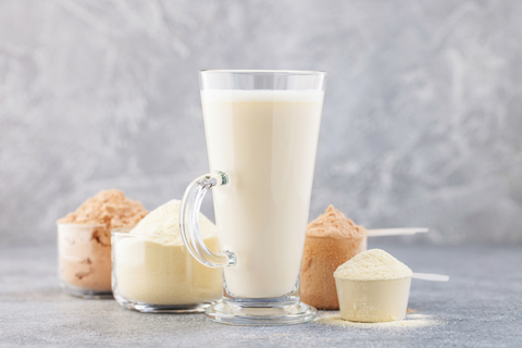 The Benefits of Protein for Adults