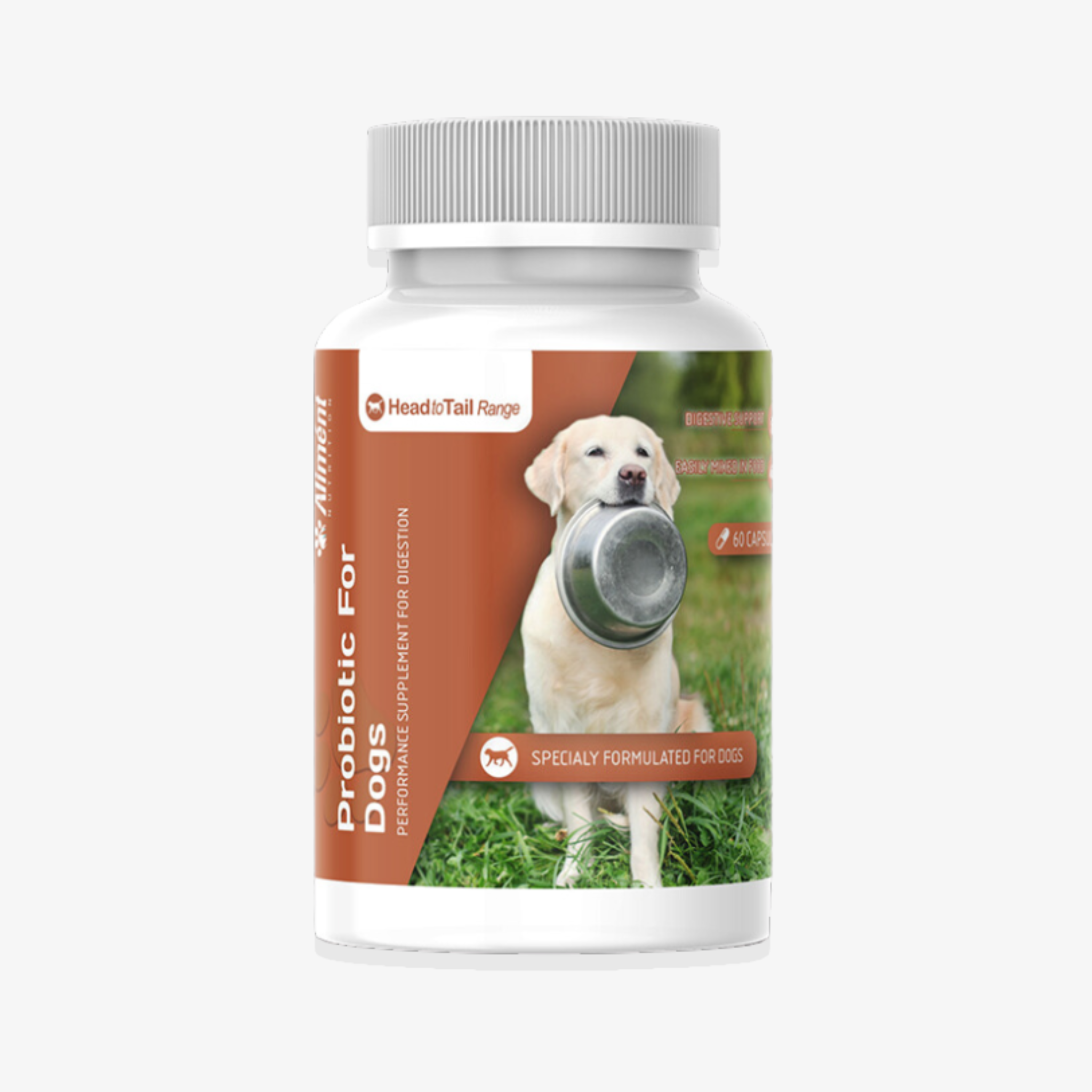 Probiotic supplement for dogs hotsell