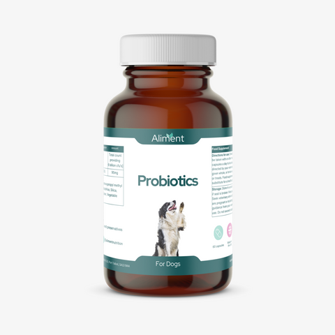 Head to Tail Probiotic for Dogs – Digestive & Immune Support