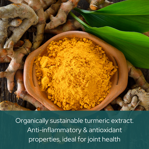 Turmeric & Bioperine 60 Capsules