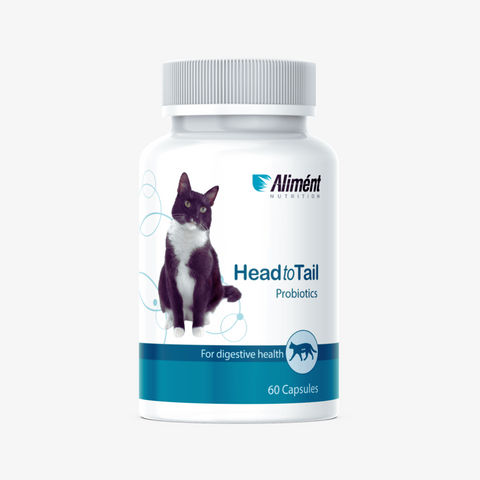 Probiotics for Cats Digestive Immune Support