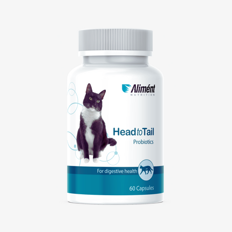 Probiotics for Cats – Digestive & Immune Support