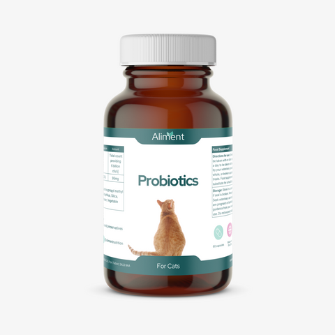 Probiotics for Cats – Digestive & Immune Support